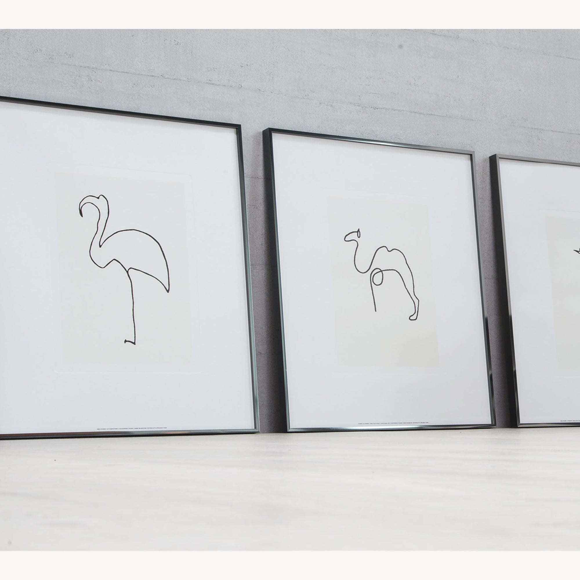 Alpha – Hello Cadres